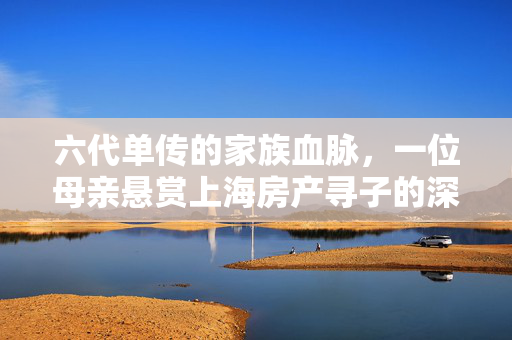 六代单传的家族血脉，一位母亲悬赏上海房产寻子的深情呼唤