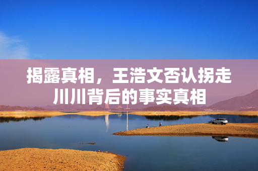 揭露真相，王浩文否认拐走川川背后的事实真相
