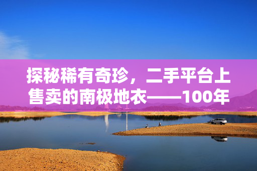 探秘稀有奇珍，二手平台上售卖的南极地衣——100年仅长1毫米的奇迹