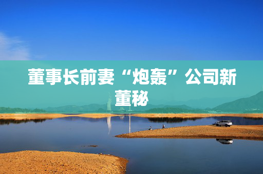 董事长前妻“炮轰”公司新董秘