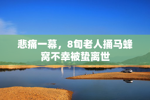 悲痛一幕，8旬老人捅马蜂窝不幸被蛰离世
