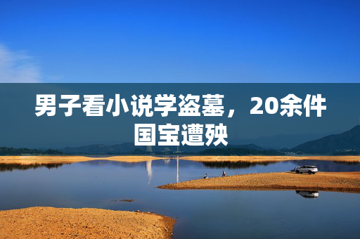 男子看小说学盗墓，20余件国宝遭殃