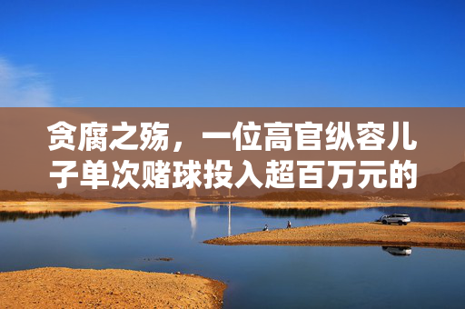 贪腐之殇，一位高官纵容儿子单次赌球投入超百万元的警示录