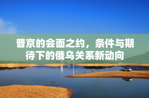 普京的会面之约，条件与期待下的俄乌关系新动向
