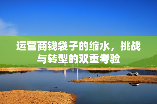 运营商钱袋子的缩水，挑战与转型的双重考验