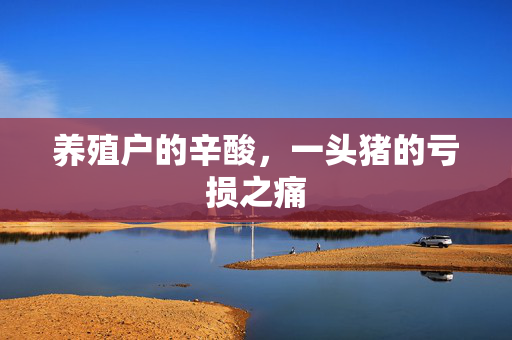 养殖户的辛酸，一头猪的亏损之痛