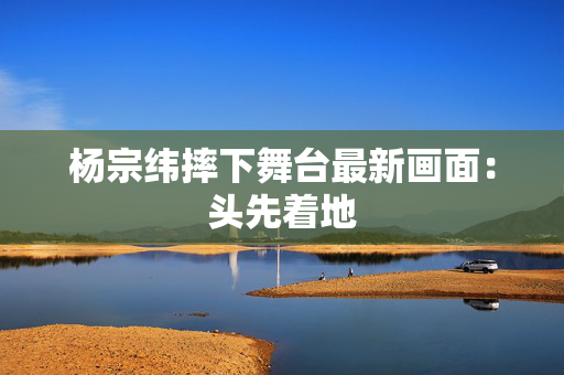 杨宗纬摔下舞台最新画面：头先着地