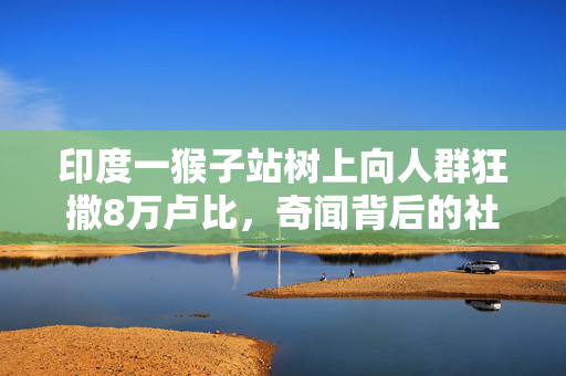 印度一猴子站树上向人群狂撒8万卢比，奇闻背后的社会与生态反思