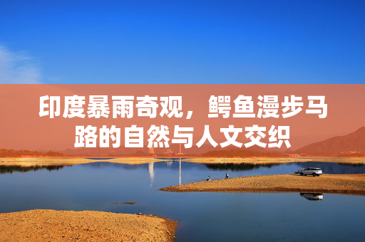 印度暴雨奇观，鳄鱼漫步马路的自然与人文交织