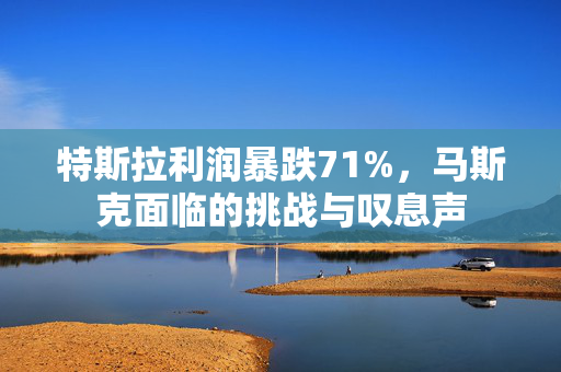 特斯拉利润暴跌71%，马斯克面临的挑战与叹息声