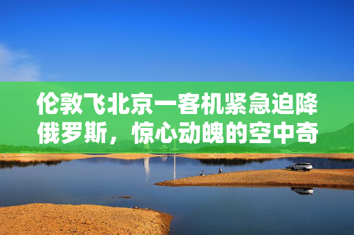 伦敦飞北京一客机紧急迫降俄罗斯，惊心动魄的空中奇迹