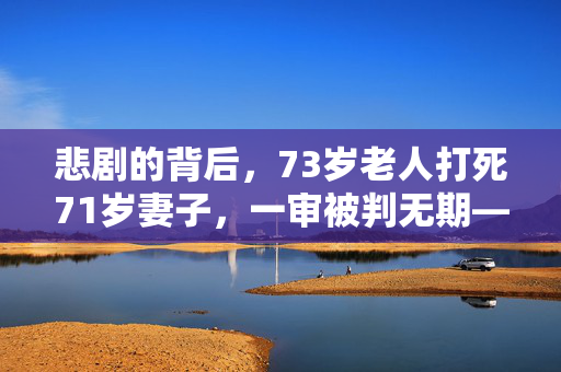 悲剧的背后，73岁老人打死71岁妻子，一审被判无期——家庭暴力的沉重代价