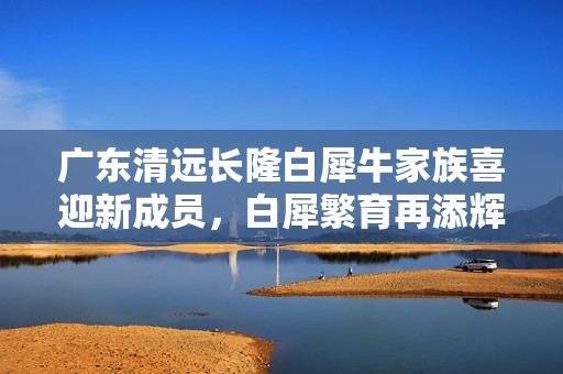 广东清远长隆白犀牛家族喜迎新成员，白犀繁育再添辉煌篇章