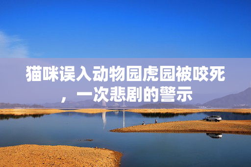 猫咪误入动物园虎园被咬死，一次悲剧的警示