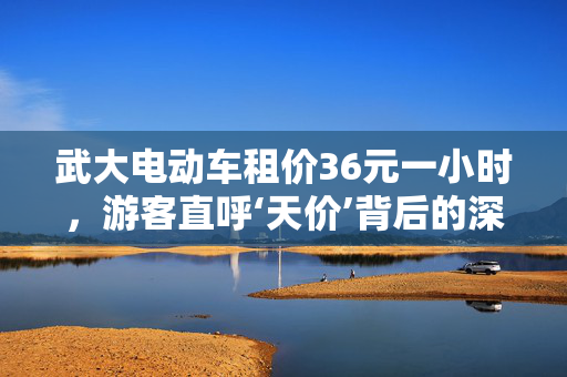 武大电动车租价36元一小时，游客直呼‘天价’背后的深思