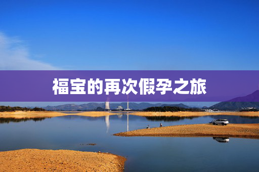 福宝的再次假孕之旅