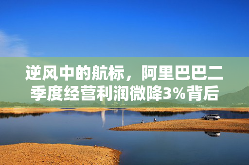 逆风中的航标，阿里巴巴二季度经营利润微降3%背后的深度剖析
