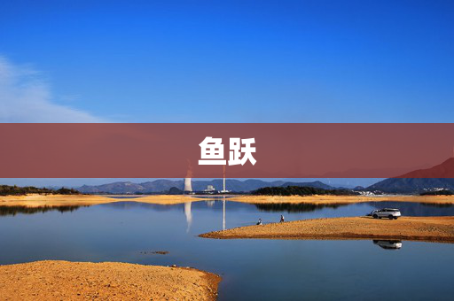 鱼跃