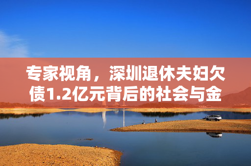 专家视角，深圳退休夫妇欠债1.2亿元背后的社会与金融启示