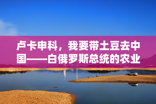 卢卡申科，我要带土豆去中国——白俄罗斯总统的农业外交与中白合作新篇章