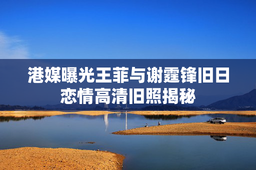 港媒曝光王菲与谢霆锋旧日恋情高清旧照揭秘