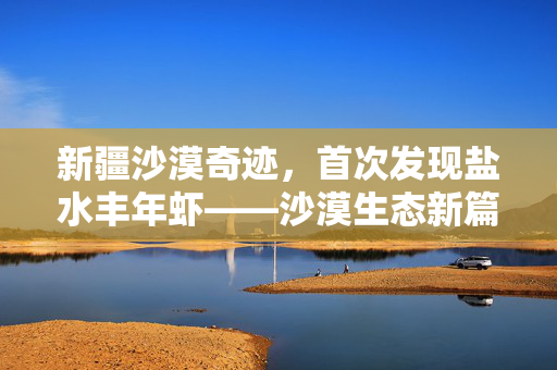 新疆沙漠奇迹，首次发现盐水丰年虾——沙漠生态新篇章的开启