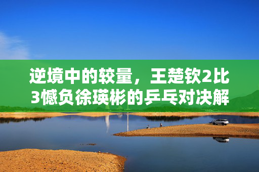 逆境中的较量，王楚钦2比3憾负徐瑛彬的乒乓对决解析