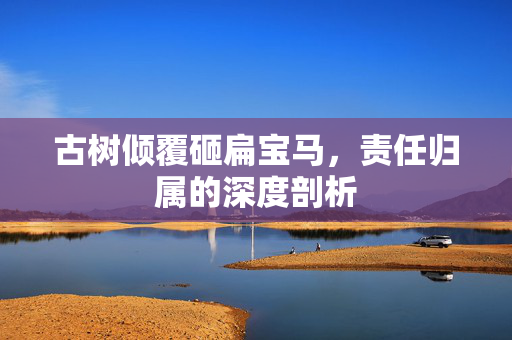 古树倾覆砸扁宝马，责任归属的深度剖析