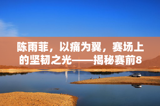 陈雨菲，以痛为翼，赛场上的坚韧之光——揭秘赛前8颗止疼药的背后故事