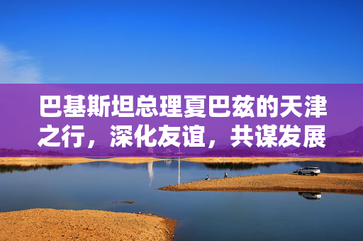 巴基斯坦总理夏巴兹的天津之行，深化友谊，共谋发展新篇章