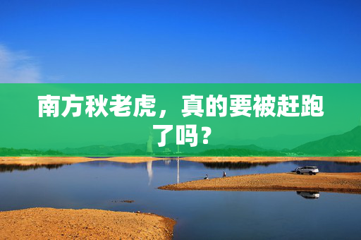 南方秋老虎，真的要被赶跑了吗？