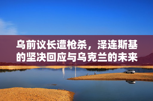 乌前议长遭枪杀，泽连斯基的坚决回应与乌克兰的未来展望