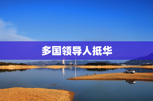 多国领导人抵华