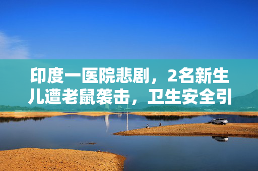 印度一医院悲剧，2名新生儿遭老鼠袭击，卫生安全引深思
