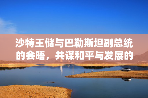 沙特王储与巴勒斯坦副总统的会晤，共谋和平与发展的新篇章
