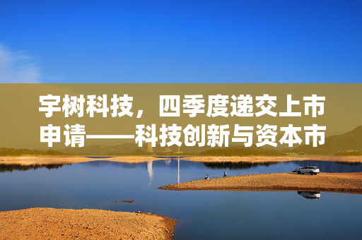 宇树科技，四季度递交上市申请——科技创新与资本市场的双重飞跃