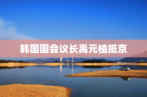 韩国国会议长禹元植抵京