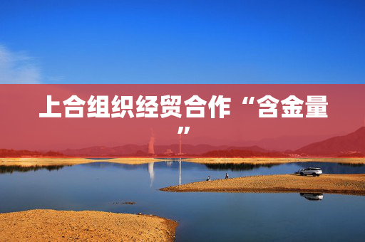 上合组织经贸合作“含金量”