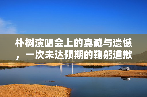 朴树演唱会上的真诚与遗憾，一次未达预期的鞠躬道歉