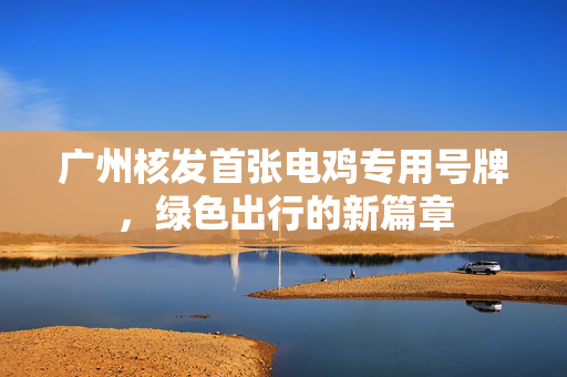 广州核发首张电鸡专用号牌，绿色出行的新篇章
