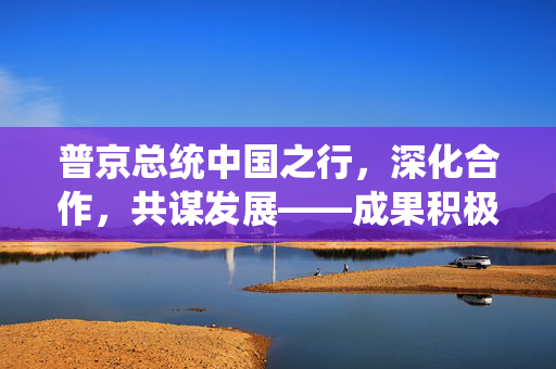 普京总统中国之行，深化合作，共谋发展——成果积极，展望未来