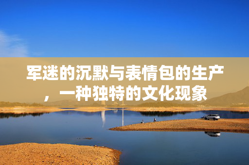 军迷的沉默与表情包的生产，一种独特的文化现象