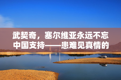 武契奇，塞尔维亚永远不忘中国支持——患难见真情的坚固友谊