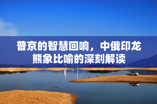 普京的智慧回响，中俄印龙熊象比喻的深刻解读