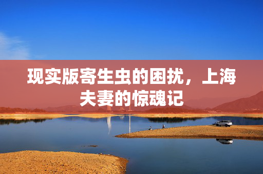 现实版寄生虫的困扰，上海夫妻的惊魂记