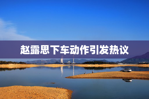 赵露思下车动作引发热议
