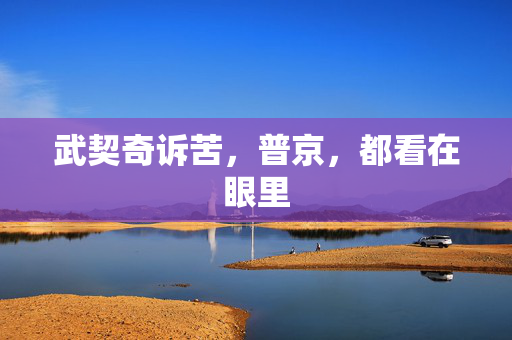 武契奇诉苦，普京，都看在眼里
