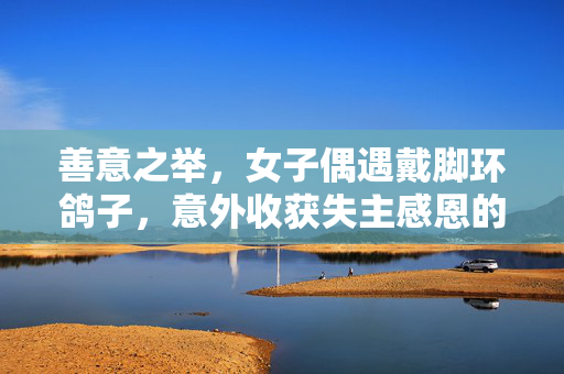 善意之举，女子偶遇戴脚环鸽子，意外收获失主感恩的回馈