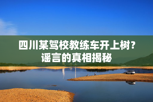 四川某驾校教练车开上树？谣言的真相揭秘