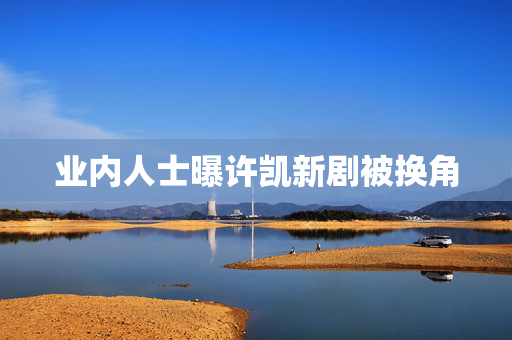 业内人士曝许凯新剧被换角